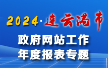 政府网站年度工作报表